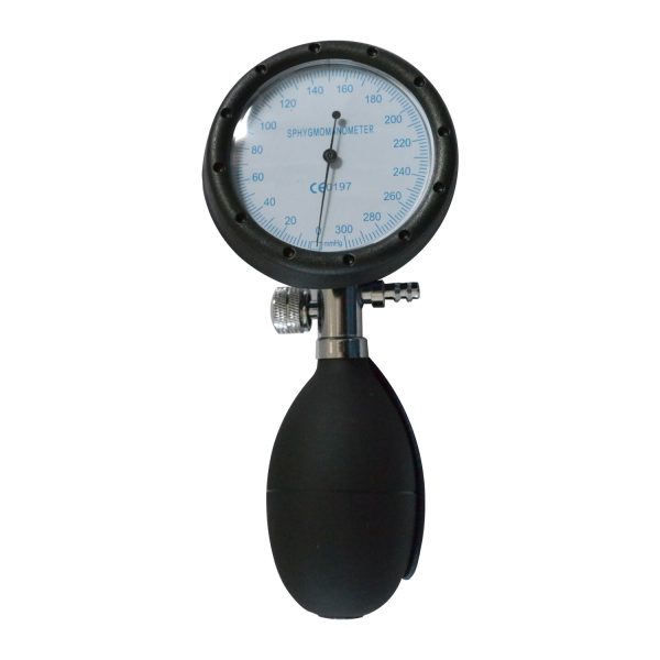Palm BP Gauge