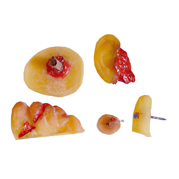 Wound Simulation Kit